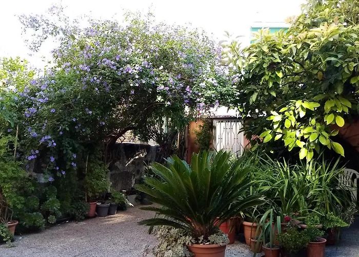 Metro Casa Musica And