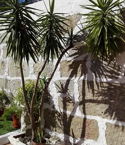 Metro Casa Musica And